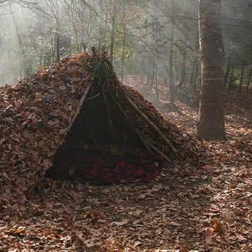 Building Shelters in the Wild: A Primer on Survival Shelters | THE SHED KNIVES BLOG #61