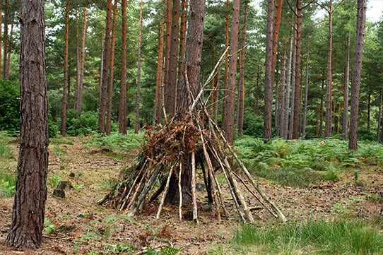 Primitive Shelter Building 101 | THE SHED KNIVES BLOG #48