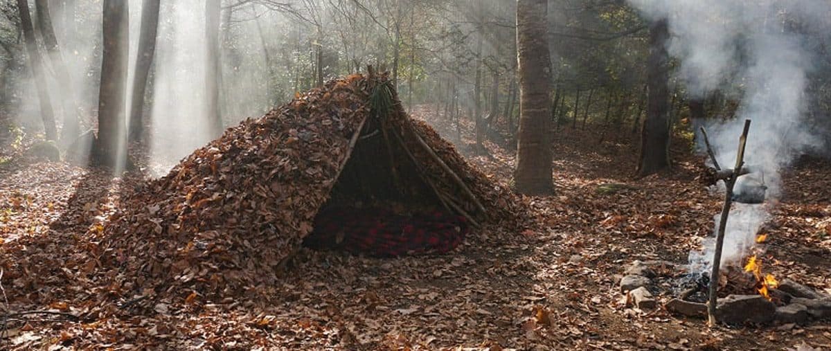 Building Shelters in the Wild: A Primer on Survival Shelters | THE SHE — Shed Knives