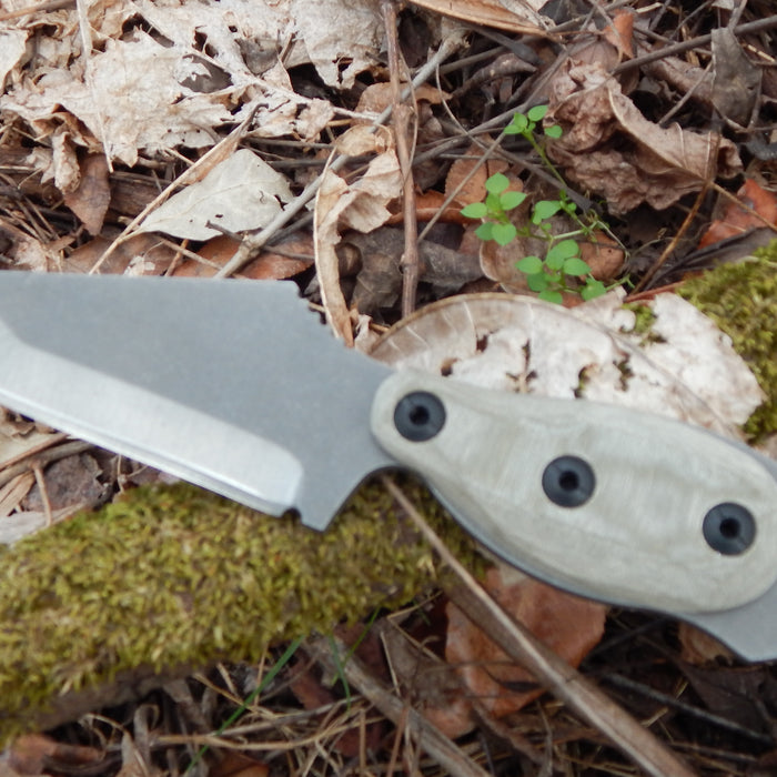 5 EASY Ways To Maintain Your Fixed Blade Knife｜THE SHED KNIVES BLOG #20