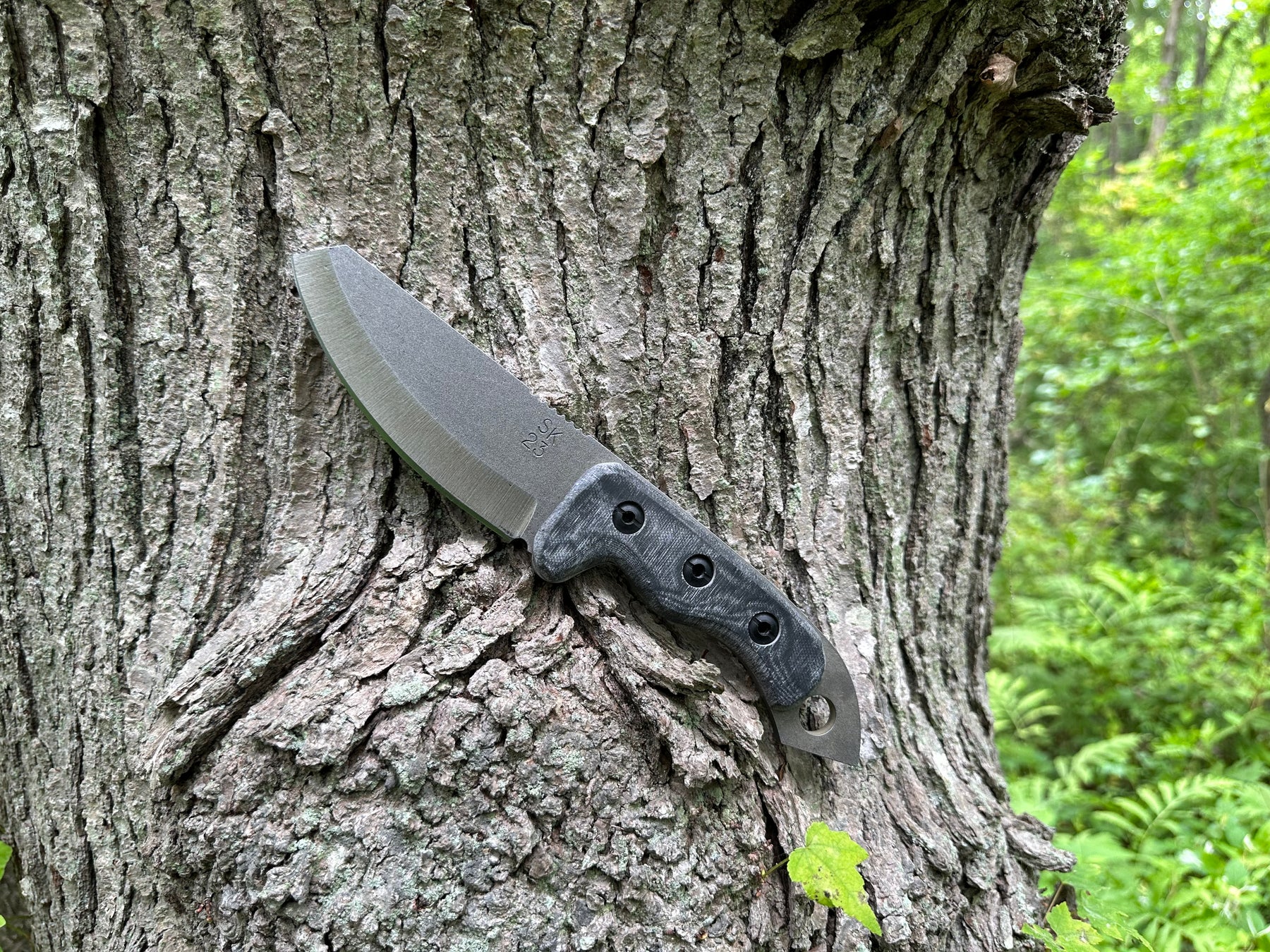 The 2023 Shed Knives Sheepsfoot: A Classic and Reliable Outdoor Companion from Shed Knives｜SHED KNIVES BLOG #13