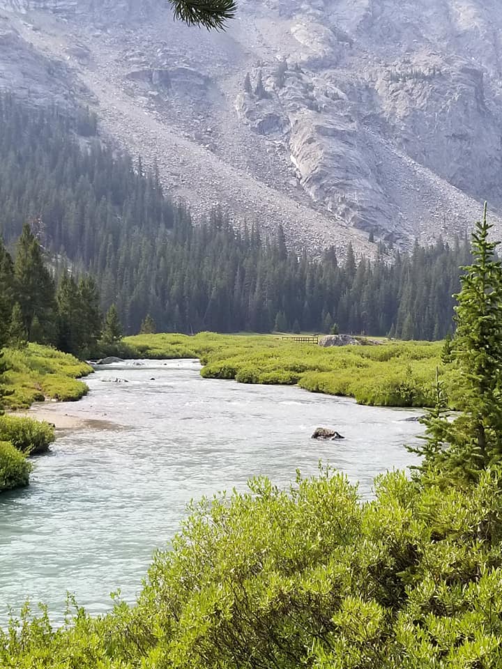 15 Camping Items You Need for Summer 2023 | THE SHED KNIVES BLOG #16