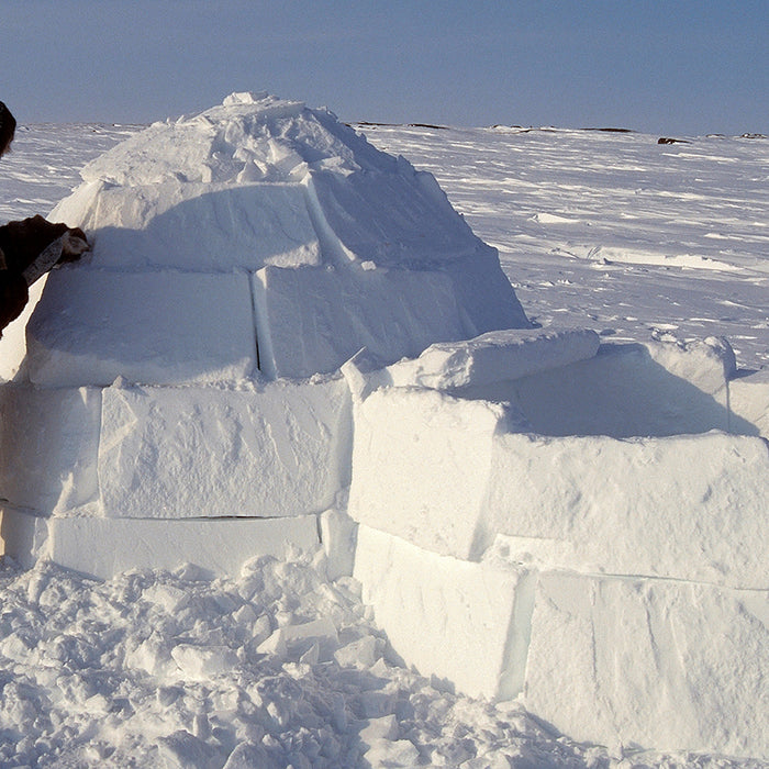 How To Build An Igloo | THE SHED KNIVES BLOG #81