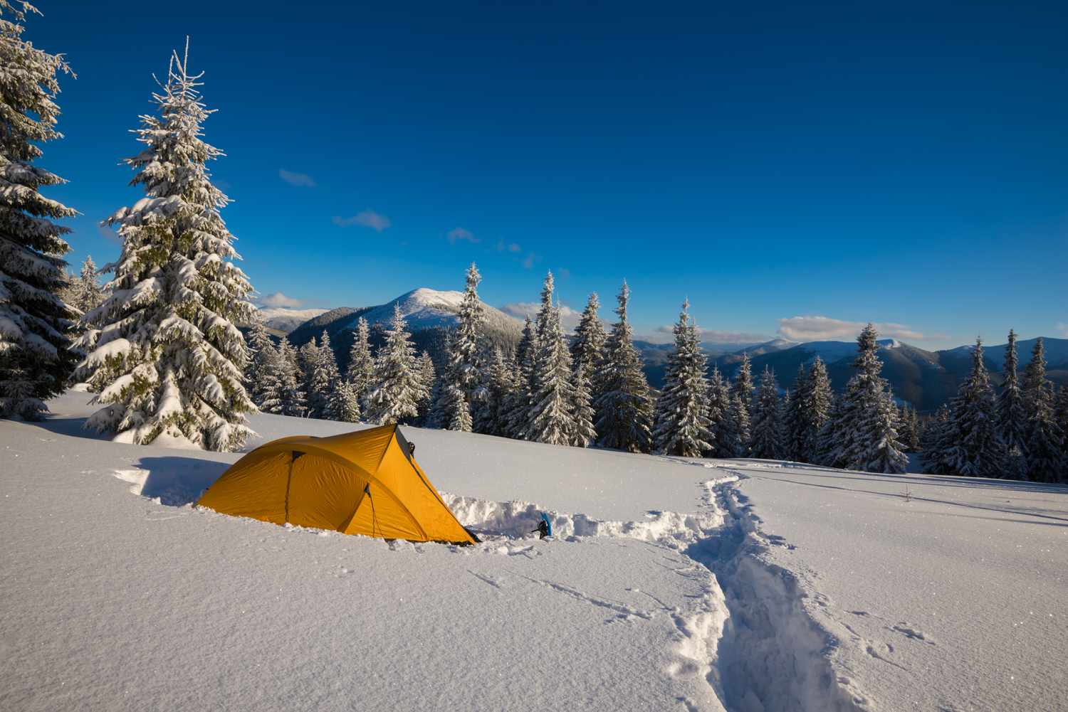 Top 5 Shelters for Winter 2024 | THE SHED KNIVES BLOG #80