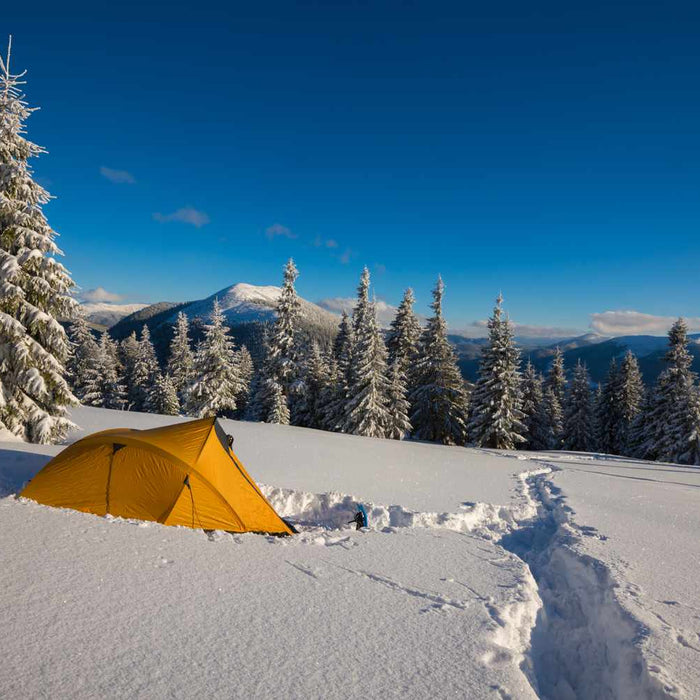 Top 5 Shelters for Winter 2024 | THE SHED KNIVES BLOG #80