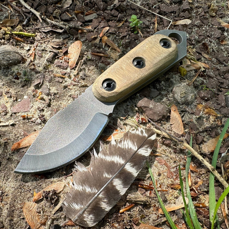 2023 Shed Knives Skur in Coyote Tan on the ground in the woods next to a feather.