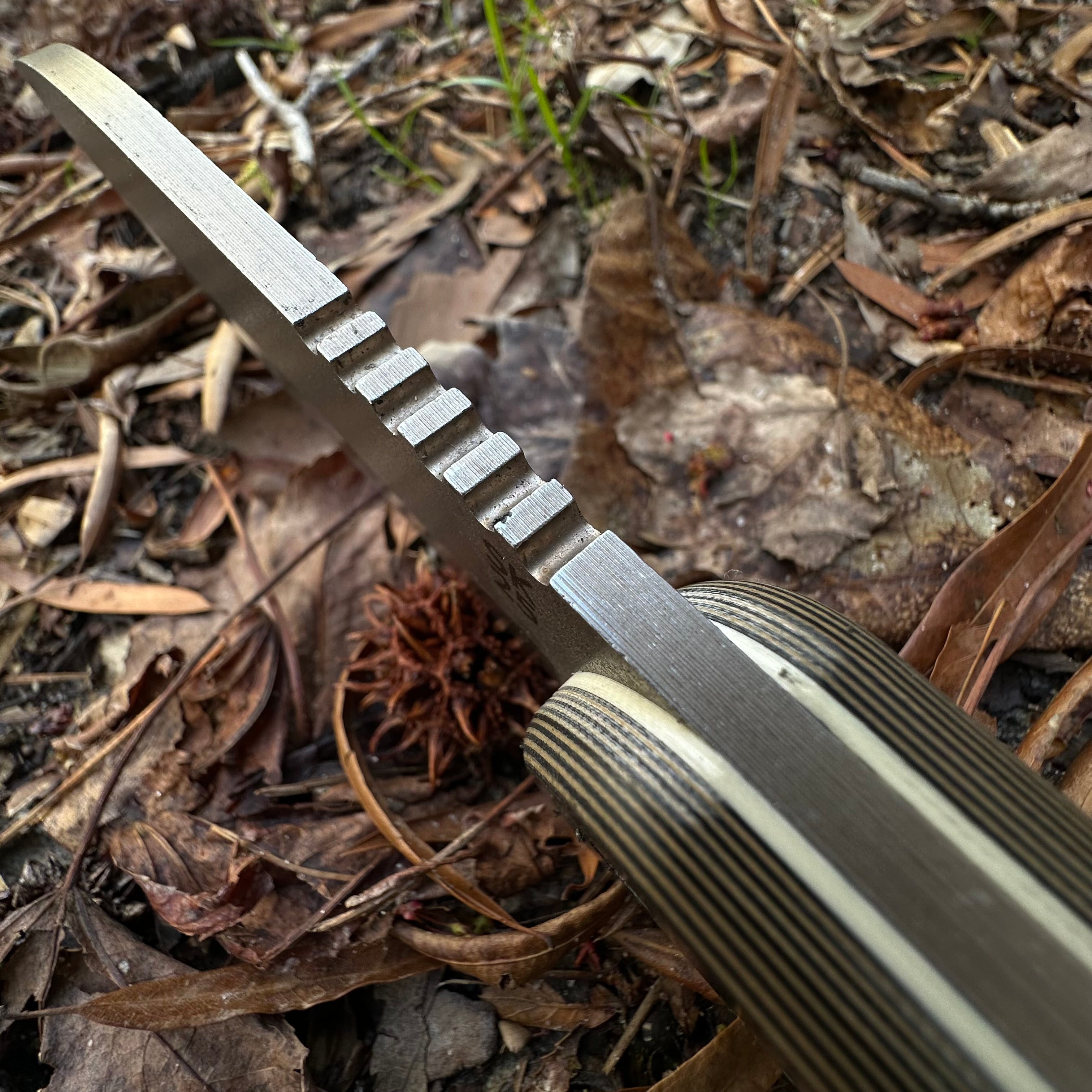 Shedknives.com: 2025 Shed Knives Visionary Buschraft Knife with Sheath, Full Tang Knife Fixed Blade Camping Knife, Large Blade Outdoors Knife Survival Knife with G-10 