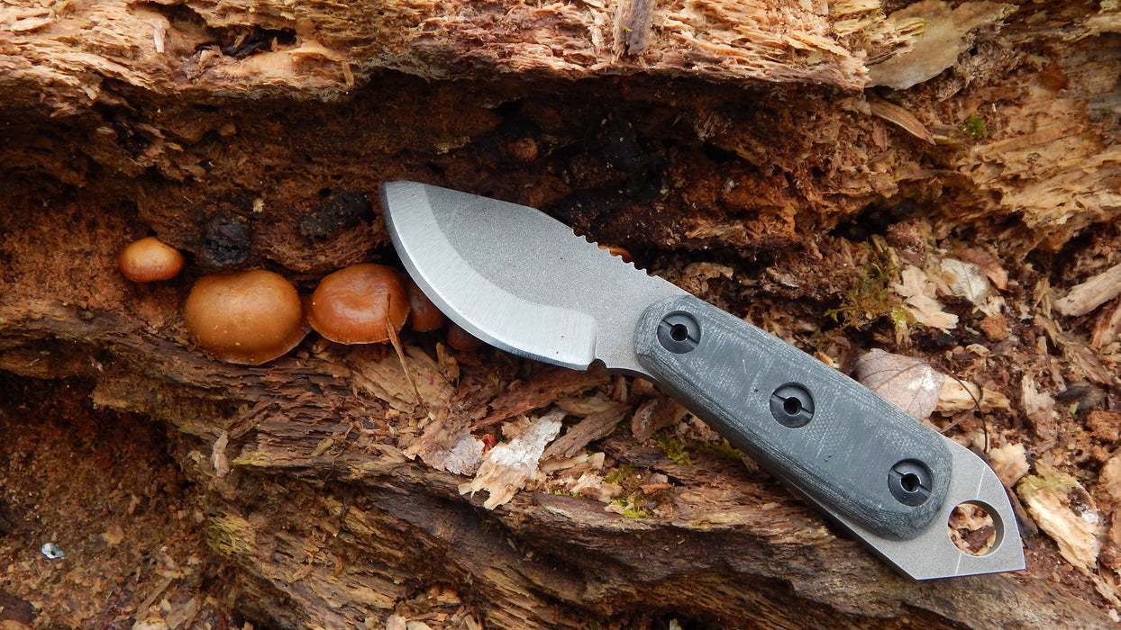 2023 Shed Knives Skur in Midnight Black G-10 next to mushrooms in the woods.