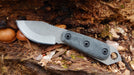 2023 Shed Knives Skur in Midnight Black G-10 next to mushrooms in the woods closeup.