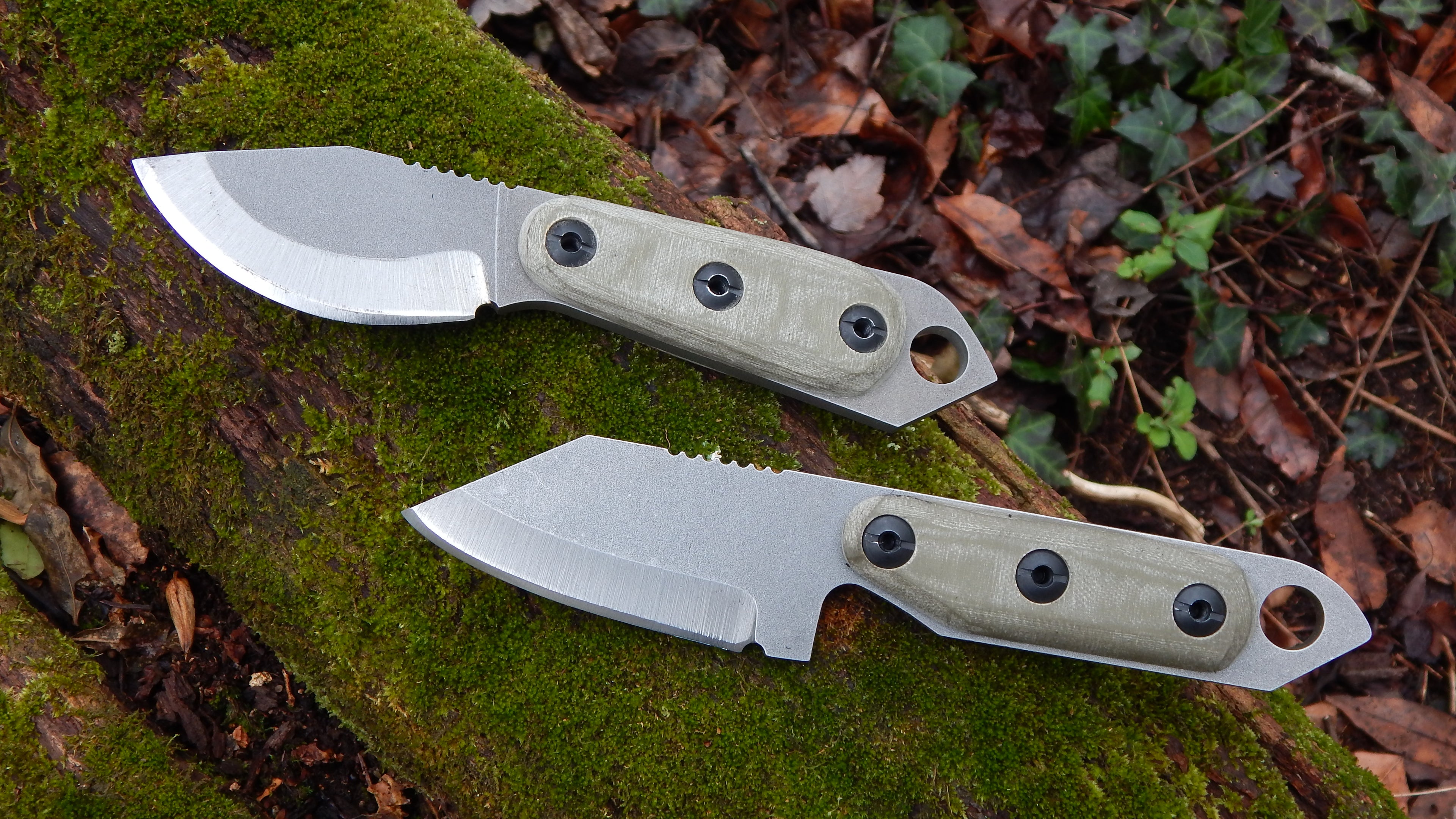 2023 Shed Knives Skur & US Tanto in OD Green G-10 on a mossy log.